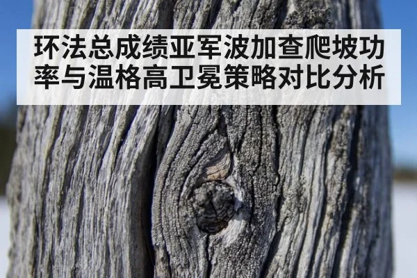 环法总成绩亚军波加查爬坡功率与温格高卫冕策略对比分析